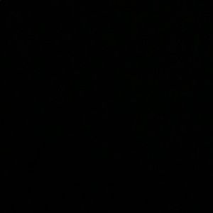 Meet your Posher, Tahlia